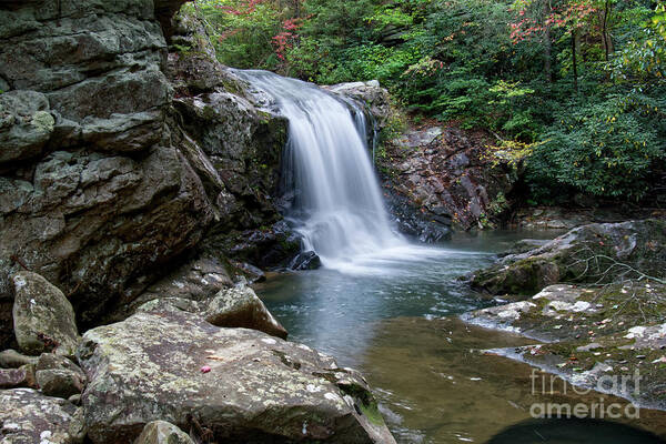 Paine Creek Poster featuring the photograph Paine Creek 28 by Phil Perkins