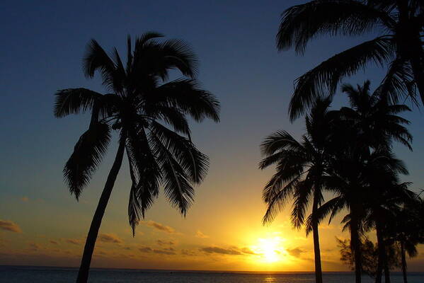 Aitutaki Poster featuring the photograph Palm Trees Sunset in Paradise by Kathrin Poersch