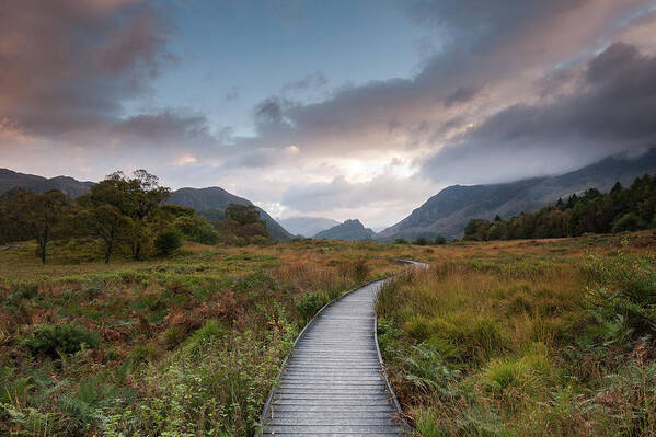 Cumbria Poster featuring the photograph Pathway to Castle Cragg, the Lake District, Cumbria, England by Sarah Howard