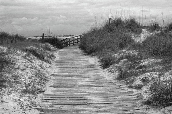 Beach Poster featuring the photograph Pathway to the Beach in Black and White by James C Richardson