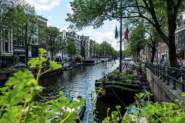 Amsterdam Canal Poster featuring the photograph Peaceful Canal by Marian Tagliarino