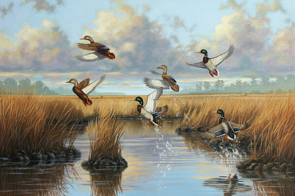 Mallards Poster featuring the painting Perrin Creek by Guy Crittenden