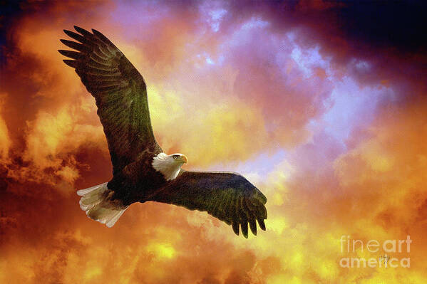 Eagle Poster featuring the photograph Perseverance by Lois Bryan