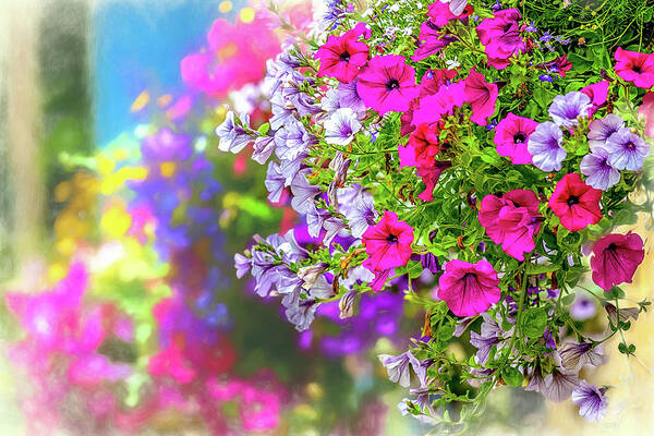 Spring Poster featuring the photograph Petunias by W Chris Fooshee