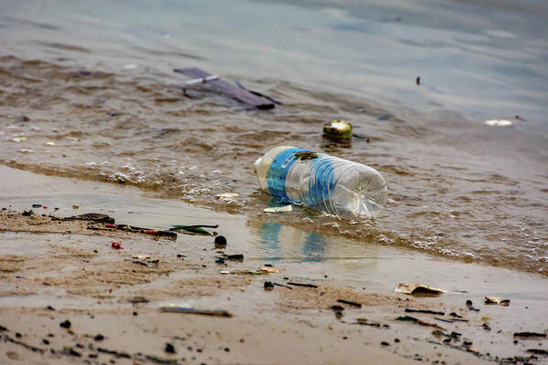 https://render.fineartamerica.com/images/rendered/default/poster/8/5.5/break/images/artworkimages/medium/3/plastic-water-bottle-trash-on-a-bay-polluting-the-ocean-plastic-bill-roque.jpg
