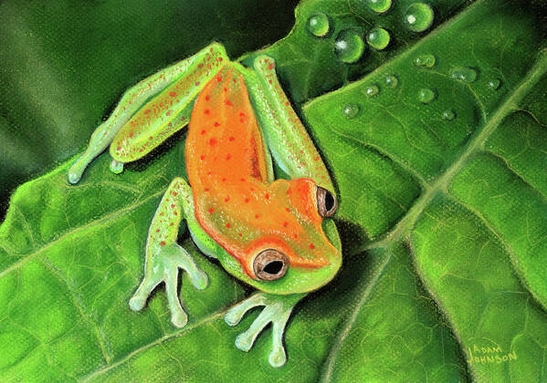 Poison Poster featuring the pastel Poison Dart Frog by Adam Johnson