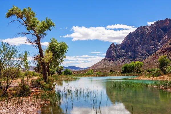 Pond Reflections Poster featuring the photograph Pond reflections in Mohave Desert, Nevada by Tatiana Travelways