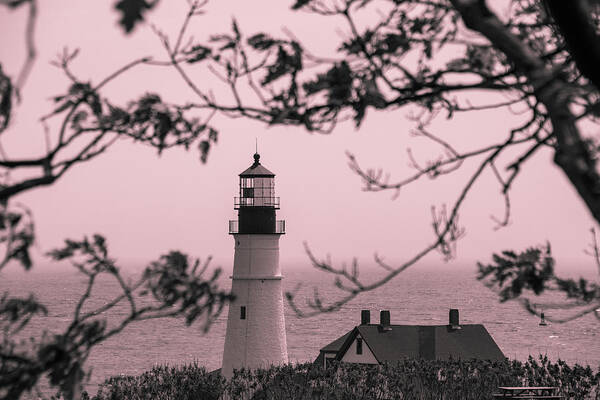 Lighthouse Poster featuring the photograph Portland Head Light 3 by Cindy Robinson