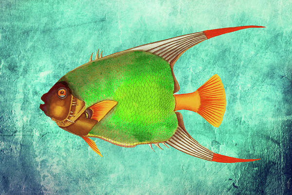 Brilliant Fish Poster featuring the digital art Portrait of a Fish 2 by Lorena Cassady