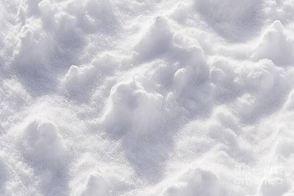 Premium Snow Texture Background, Natural White Snow Powder In