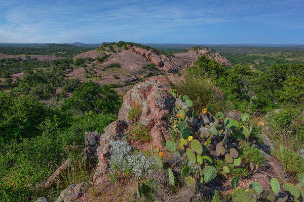 Turkey Peak Poster featuring the photograph Prickly Pear Blooms at Enchanted Rock 2 by Rob Greebon