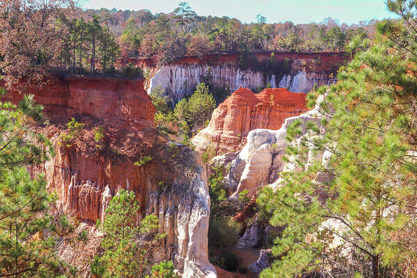 Providence Canyon State Park Poster featuring the photograph Providence Canyon Across by Ed Williams