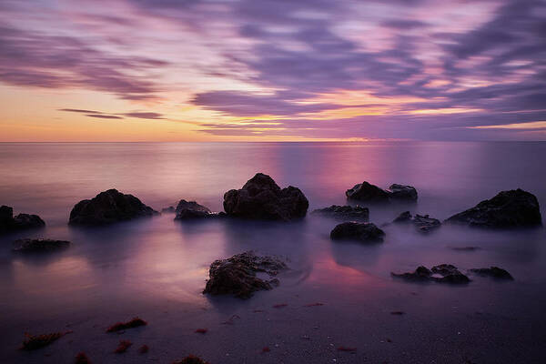 Florida Poster featuring the photograph Purple Fall Florida Sunset by Mark Rogers