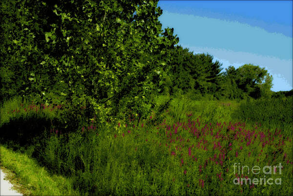 Nature Poster featuring the photograph Purple Flowers by the Trail - Impressionism by Frank J Casella