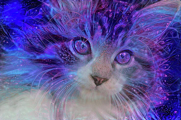 Blue Cats Poster featuring the mixed media Electric Blue Maine Coon Kitten by Peggy Collins