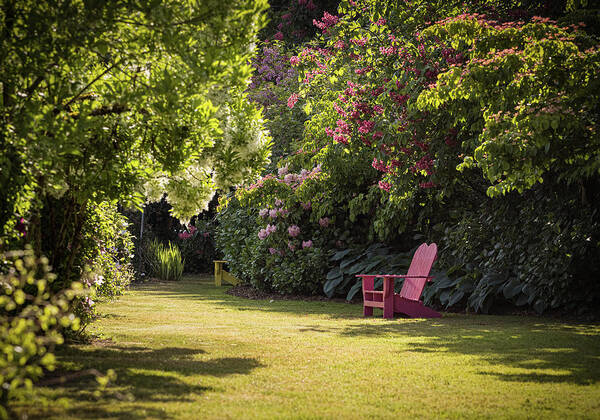 Red Garden Chair Poster featuring the photograph Red Garden Chair by Jean Noren