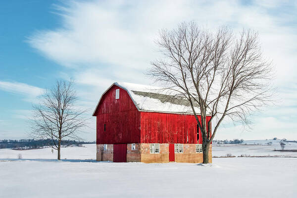 Red Poster featuring the photograph Red Oasis by Todd Klassy