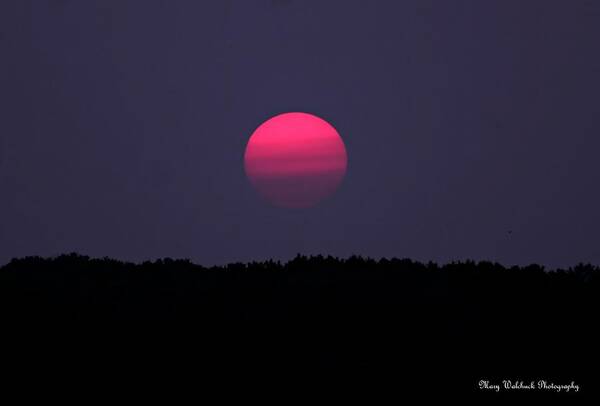 Sunset Poster featuring the photograph Red Sun Sunset by Mary Walchuck