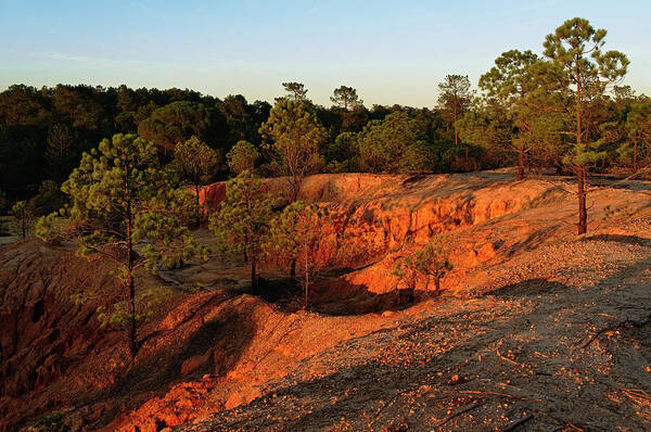 Forest Poster featuring the photograph Red Sunset Cliffs by Angelo DeVal