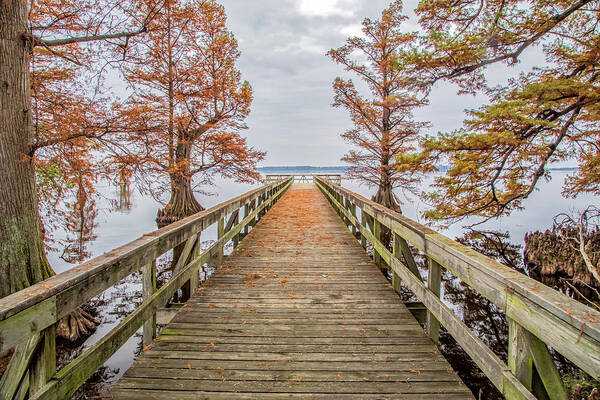 Reelfoot Lake Poster featuring the photograph Reelfoot Lake 18 by Jim Dollar