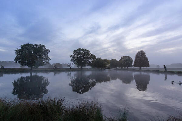 Reflections Poster featuring the photograph Reflections in Bushy by Andrew Lalchan