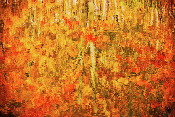 Abstract Poster featuring the photograph Reflections of Fall by Rick Furmanek