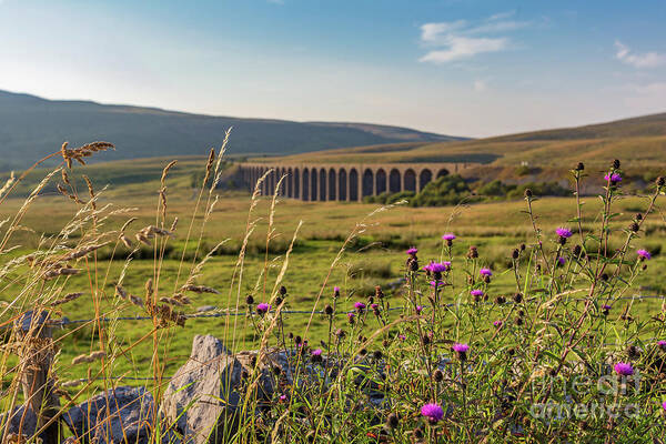 England Poster featuring the photograph Ribblehead Viaduct by Tom Holmes Photography