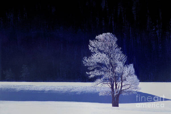 Dave Welling Poster featuring the photograph Rime Ice Covered Tree Yellowstone National Park Wyoming by Dave Welling