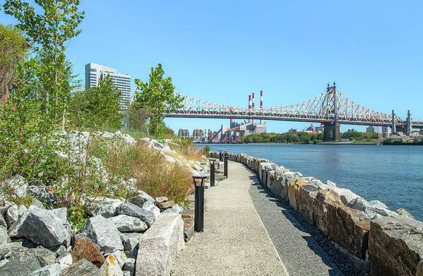 East River Poster featuring the photograph River View Stone Path by Cate Franklyn