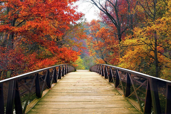 Autumn Footbridge Poster featuring the photograph Majestic Autumn Crossing by Jessica Jenney