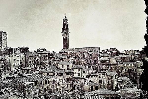 Siena Poster featuring the photograph Rooftops in Siena by Ramona Matei