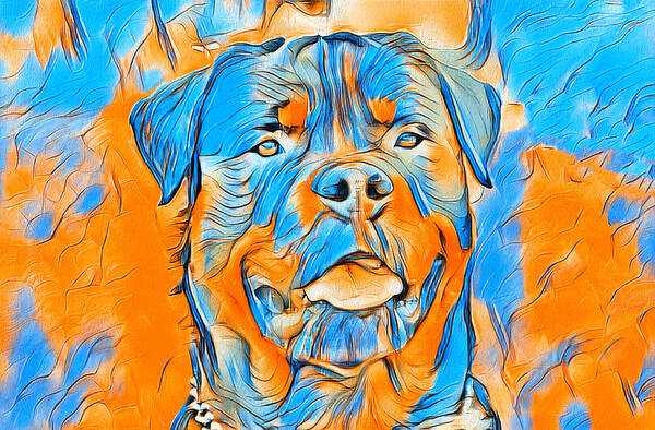 Rottweiler Dog Poster featuring the digital art Rottweiler dog portrait in blue and orange by Nicko Prints