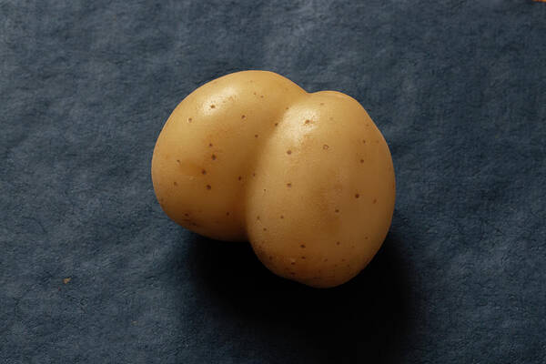 Potato Poster featuring the photograph Rude Potato Blue Background #2 by David Smith
