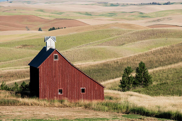 Farm Poster featuring the photograph Rural Red Barn by Connie Carr