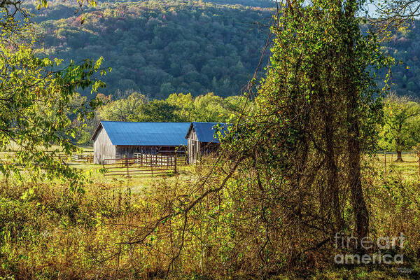 Ozarks Poster featuring the photograph Rustic Arkansas Barns by Jennifer White