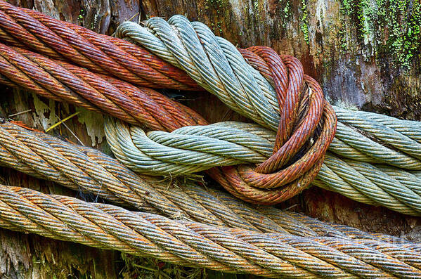 Rusty Cables Poster featuring the photograph Rusty Cables by Bob Christopher