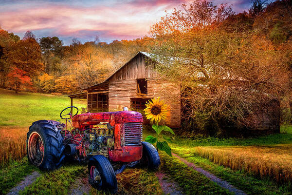 Tractor Poster featuring the photograph Rusty Red on the Farm by Debra and Dave Vanderlaan