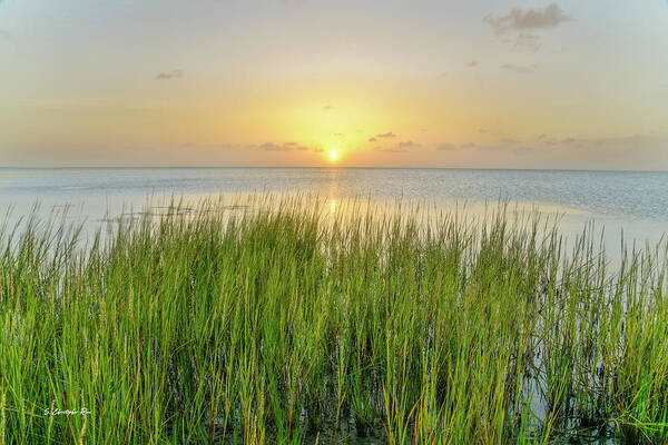 Howard Poster featuring the photograph Salt Grass Sunset by Christopher Rice