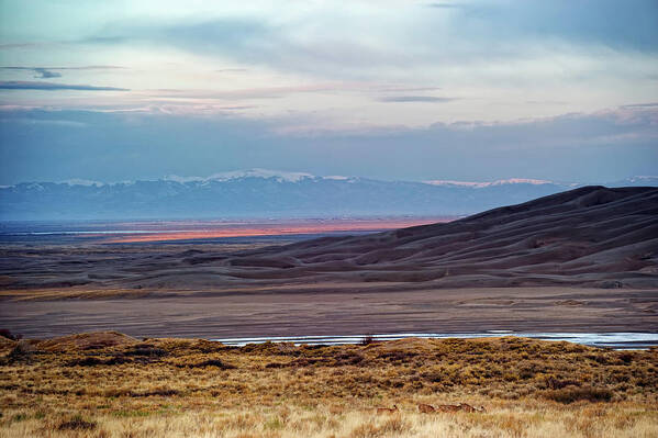 Co Poster featuring the photograph Sand Dunes by Doug Wittrock