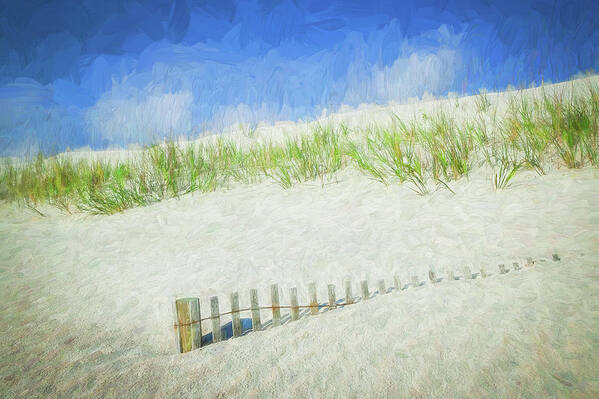 Sand Dunes St. Augustine Florida Poster featuring the photograph Sand Dunes St Augustine Florida X106 by Rich Franco