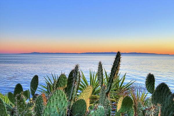 Santa Cruz Poster featuring the photograph Santa Cruz Island by Wendell Ward