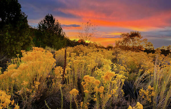 Santa Fe Poster featuring the photograph Santa Fe Magic by Stephen Anderson