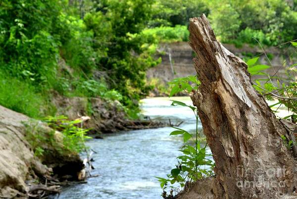 River Photography Poster featuring the photograph Scenic River Bank by Expressions By Stephanie