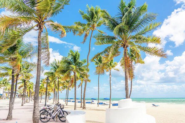 Fort Lauderdale Poster featuring the photograph Seafront beach promenade with palm trees on a sunny day in Fort Lauderdale by Maria Kray