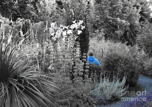 Hidden Garden Poster featuring the photograph Selectively Blue Garden Visitor by Sea Change Vibes