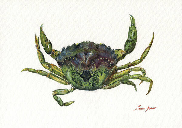 Shore Green Crab Art Poster featuring the painting Shore green crab by Juan Bosco