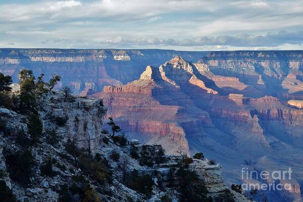 Arizona Poster featuring the photograph Shoshone Point Grandeur by Janet Marie