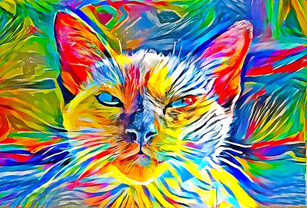 Siamese Cat Poster featuring the digital art Siamese cat face in the sun - colorful zebra pattern painting by Nicko Prints