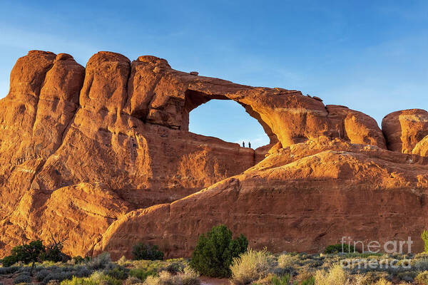 Arches National Park Poster featuring the photograph Skyline Arch in Arches National Park by Mimi Ditchie