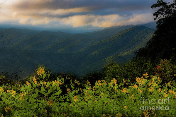 Smoky Mountains Poster featuring the photograph Smoky Mountains Summer by Theresa D Williams